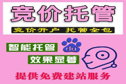 百度推广费用投入与品牌故事传播的案例分析